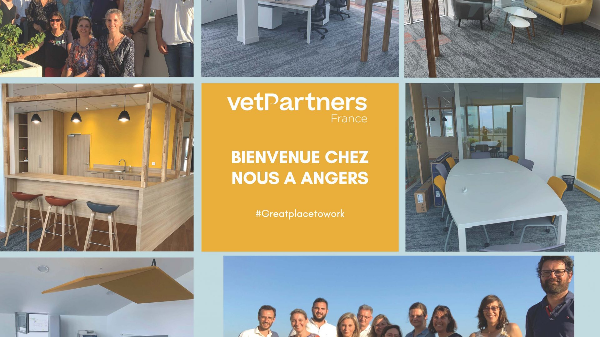 VetPartners France ouvre son nouveau siège social à Angers