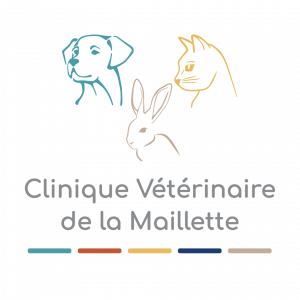 Clinique vétérinaire Locminé