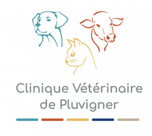 Clinique vétérinaire Pluvigner
