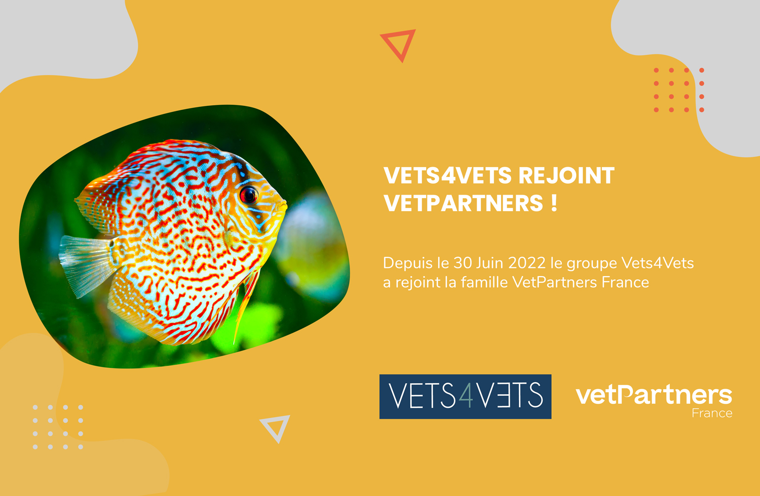 Vets4Vets rejoint la famille VetPartners France !