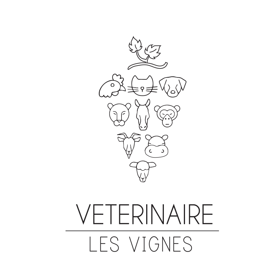 Vétérinaire à Pierrefeu-du-Var
