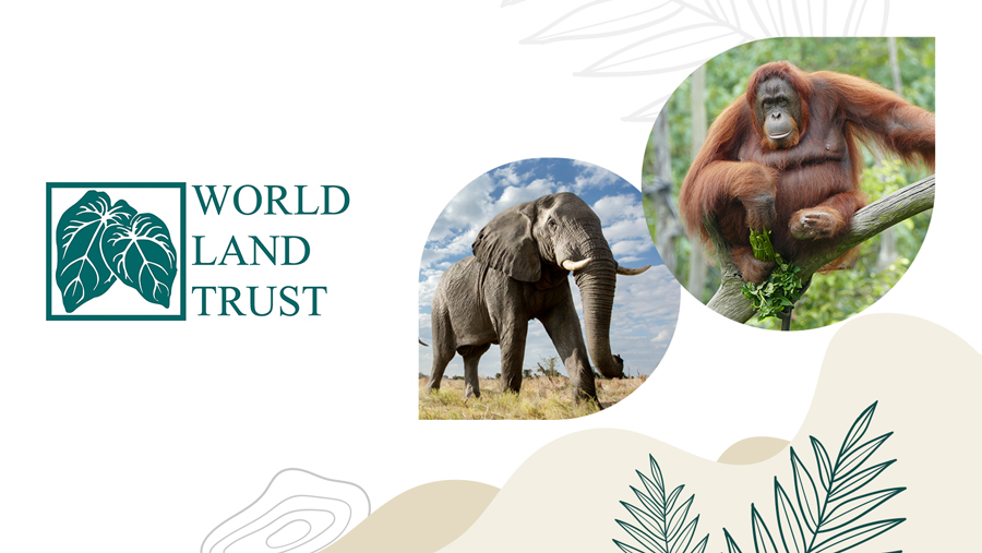 VetPartners établit un partenariat avec World Land Trust