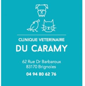 Logo clinique vétérinaire du caramy