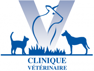 Logo clinique des 3 clochers
