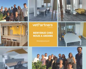 VetPartners Angers France