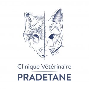 Vétérinaire Le Pradet
